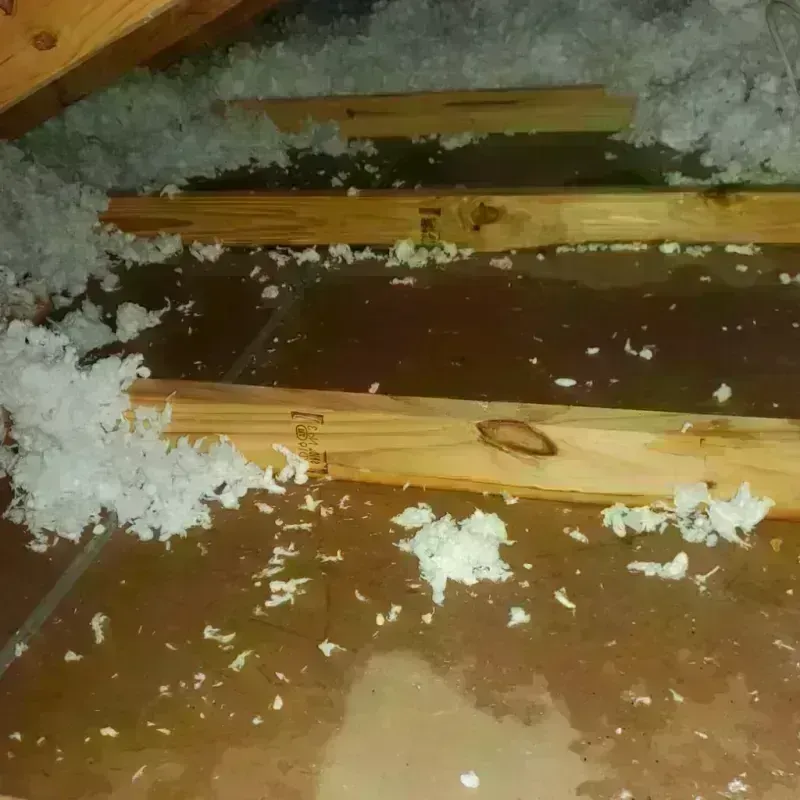 Attic Water Damage in Baytown, TX