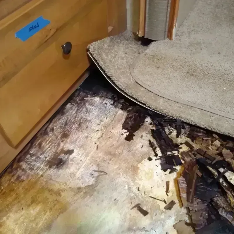 Wood Floor Water Damage in Baytown, TX